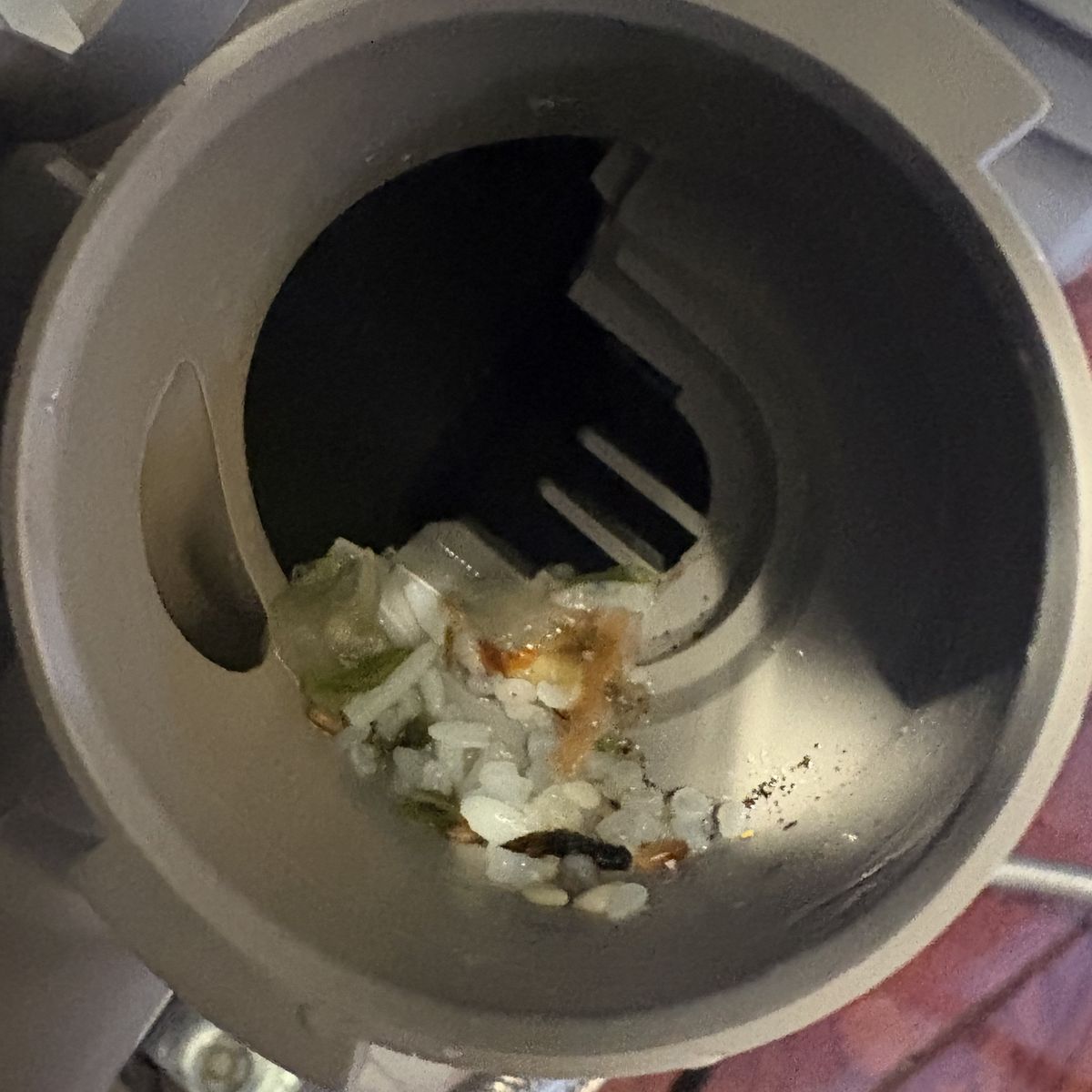 Drain pump housing of a Bosch dishwasher with the pump taken out, holding a clump of rice and food scraps at the bottom